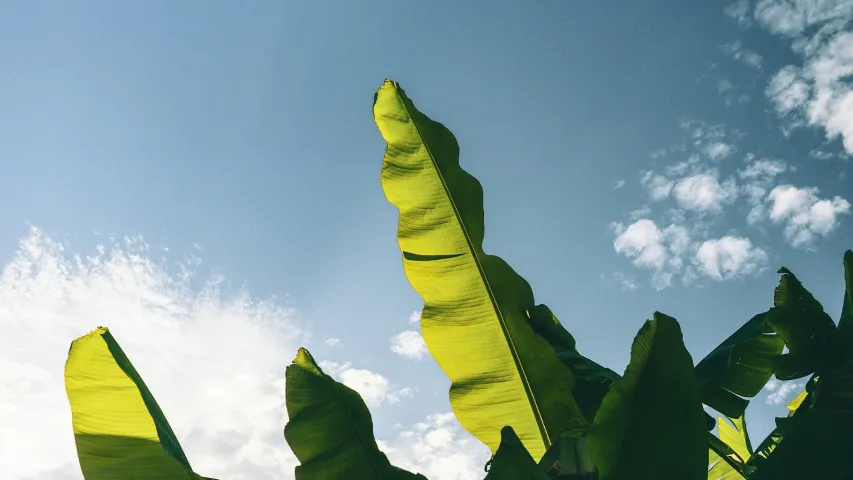 Why “Level of Development” Is Still Widely Misunderstood (And How It Breaks BIM Contracts)